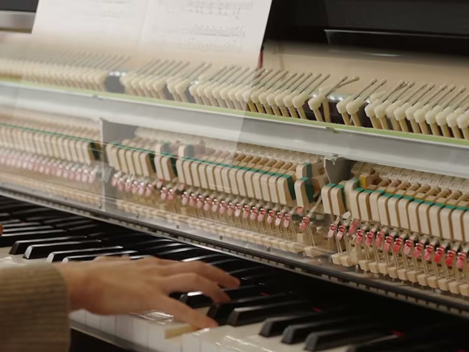 YAMAHA NU1XA PE (USED) - Ảnh thực tế 8